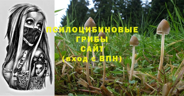 гидропоника Балахна